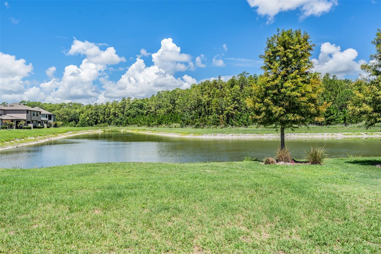 ESTANCIA PH 4 - Residential