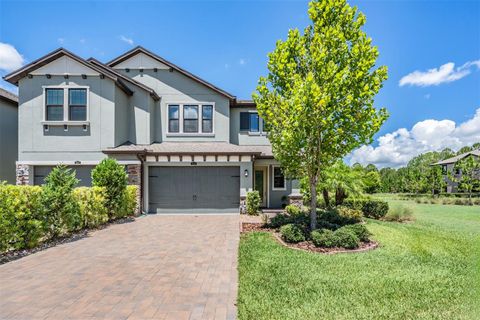 Photo of 4849 Isola Court, Wesley Chapel, FL 33543 (MLS # TB8478155)