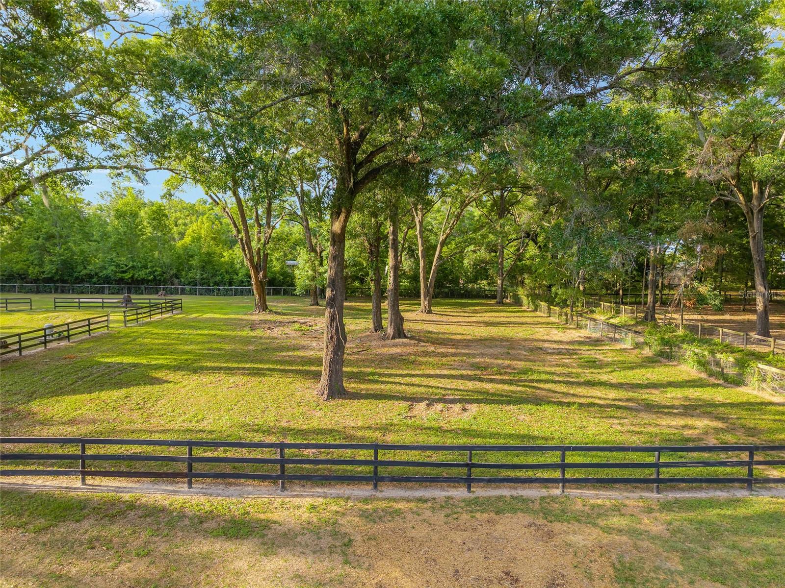 CIRCLE SQUARE RANCHES - Land