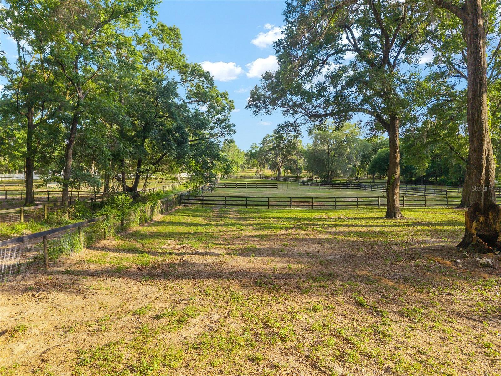 CIRCLE SQUARE RANCHES - Land