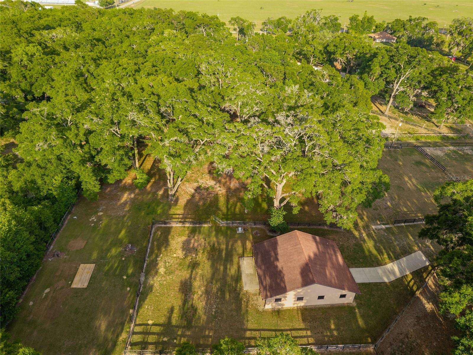 CIRCLE SQUARE RANCHES - Land