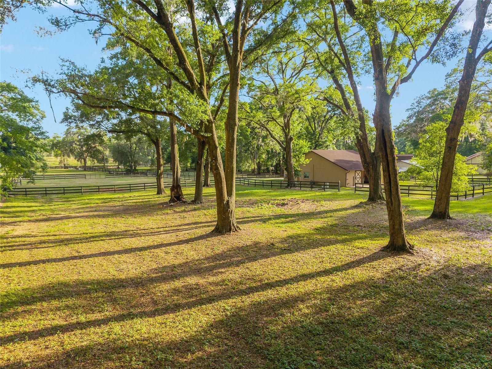 CIRCLE SQUARE RANCHES - Land