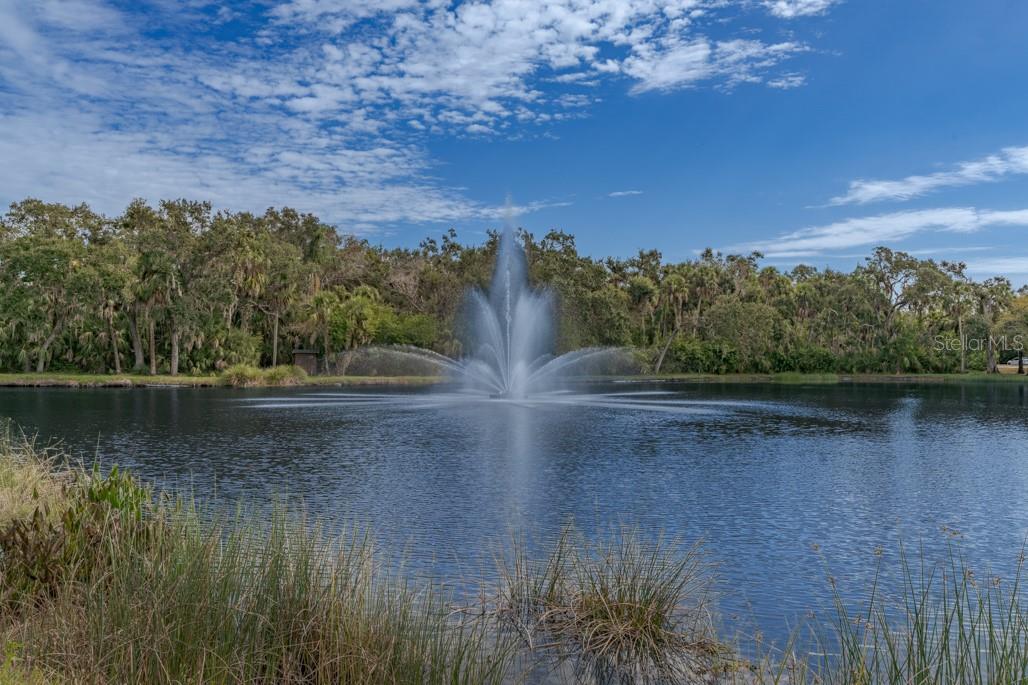 WEDGEWOOD LAKE - Residential
