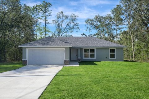 Photo of 205 W Ruska Place, Citrus Springs, FL 34434 (MLS # OM707615)