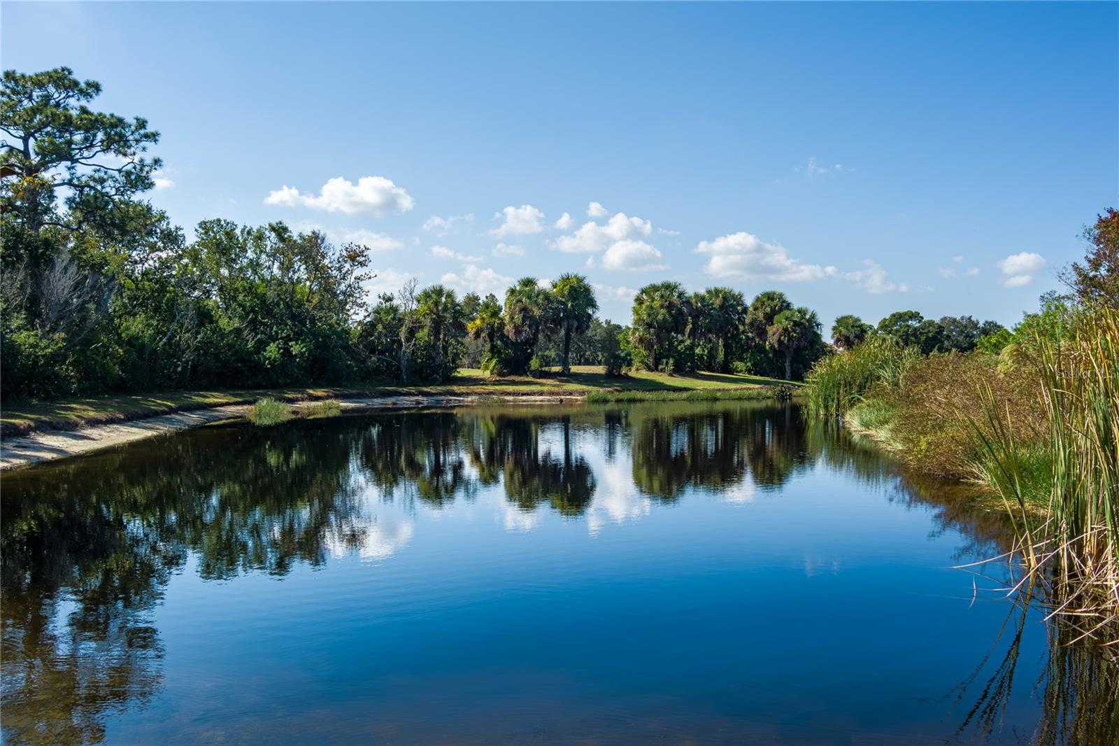 TAILFEATHER WAY AT TARA - Residential