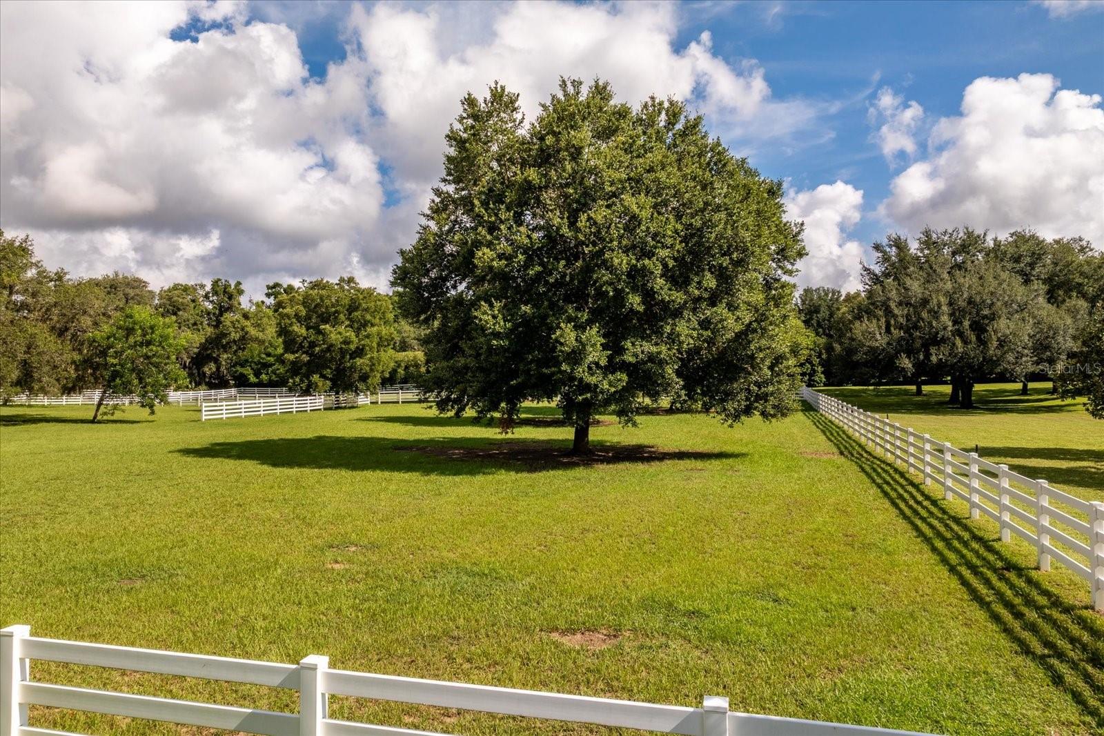 BLUEGRASS ESTATES - Residential