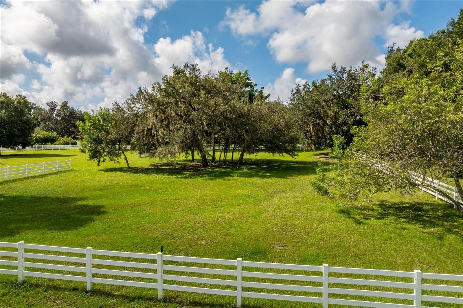 BLUEGRASS ESTATES - Residential