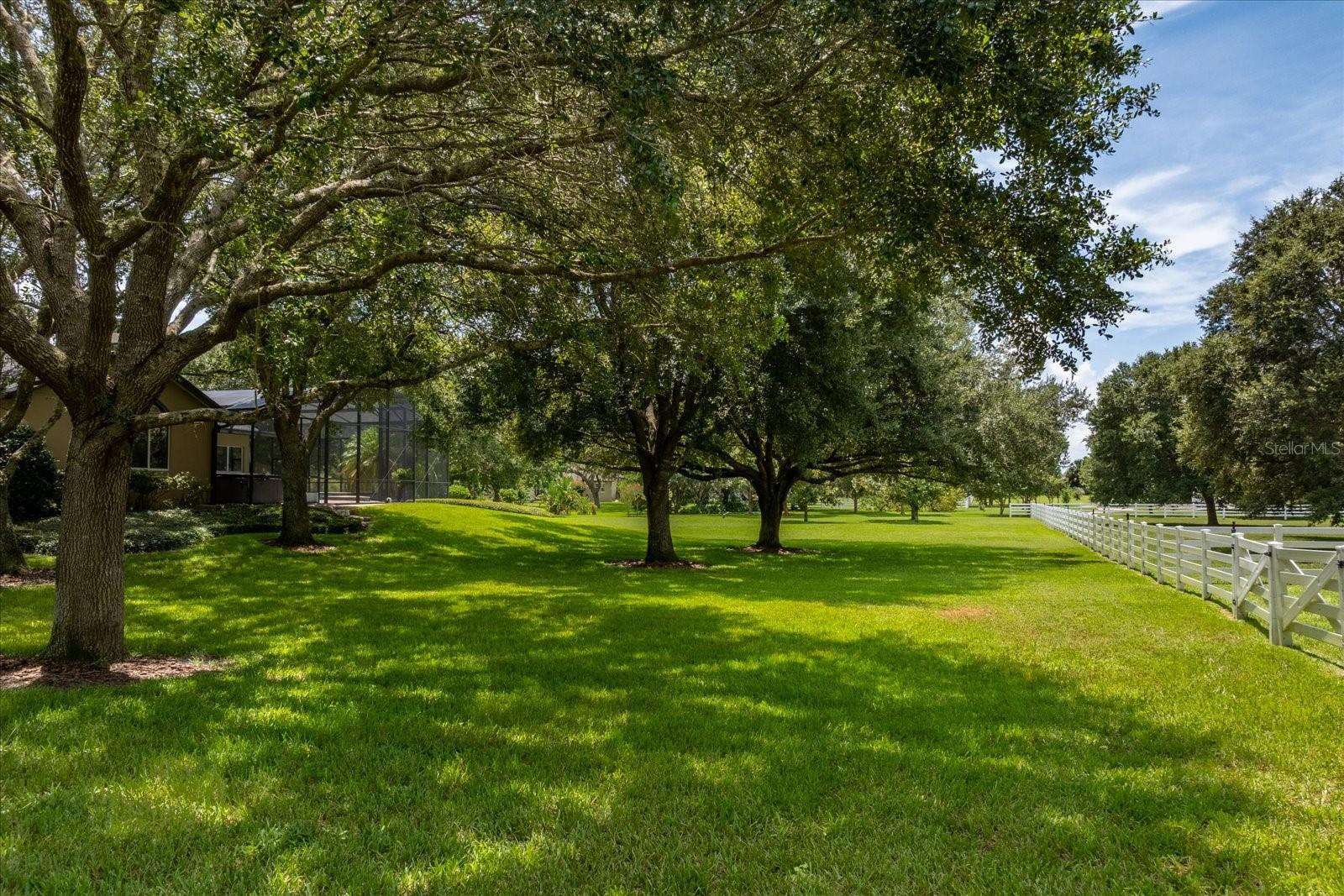 BLUEGRASS ESTATES - Residential