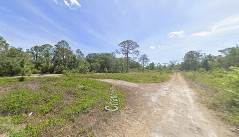 Photo of 104 Chandler Terrace NE, Lake Placid, FL 33852 (MLS # O6451959)