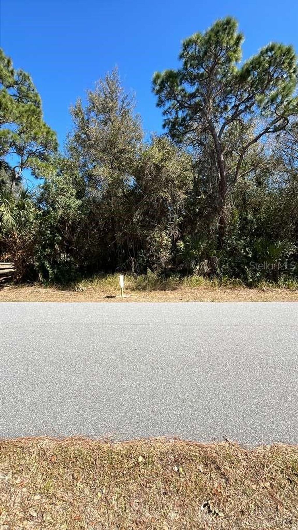 Photo of 3149 Weyburn Avenue SE, Palm Bay, FL 32909 (MLS # O6385759)