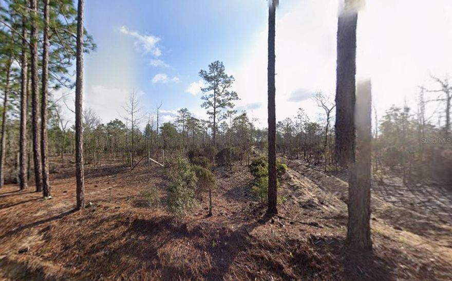 Zoned R-2 - Owner Financing available with $1,500 down! - Multi-Lot Packages Available! Zoned R-2 -Zoning Flexibility - Fantastic opportunity to own a 0.24-acre lot in Interlachen Villas. Zoned to allow tiny homes, mobile homes, modular, and site-built residences of any size, giving you full freedom to build. Owner financing is available, and the seller owns multiple lots across Putnam County—perfect for investors or developers seeking package deals. Surrounded by lakes and natural beauty with easy access to Palatka, Gainesville, and Ocala. A great investment or future homesite in a growing area! for directional purposes use 103 Tulip