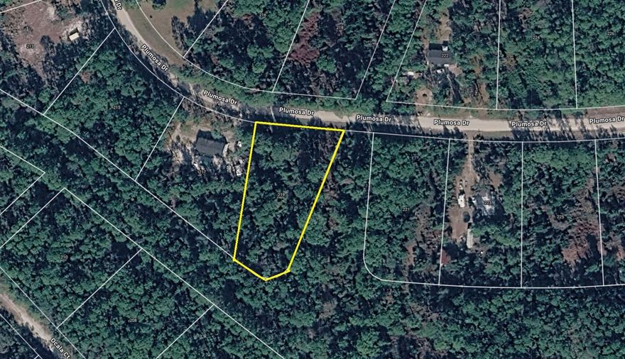 Vacant residential lot located at 219 Plumosa Dr in Georgetown, offering a great opportunity to build or invest in a quiet, rural setting near Lake George and the St. Johns River. Zoned R-2 (Residential) allowing for single-family or potential duplex use (buyer to verify). Enjoy peaceful surroundings with natural Florida landscape and no HOA restrictions. Electric nearby; well and septic required. Dirt road access. Ideal for a future homesite or long-term hold in a growing area. Cash purchase only. Buyer pays all closing costs.
