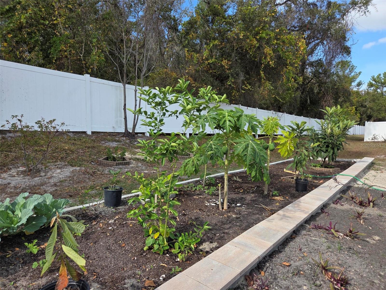 MOON LAKE ESTATES - Residential