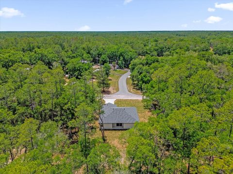 Tiny photo for 1377 W Alexander Drive, Citrus Springs, FL 34434 (MLS # O6406246)