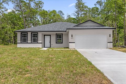 Photo of 1377 W Alexander Drive, Citrus Springs, FL 34434 (MLS # O6406246)