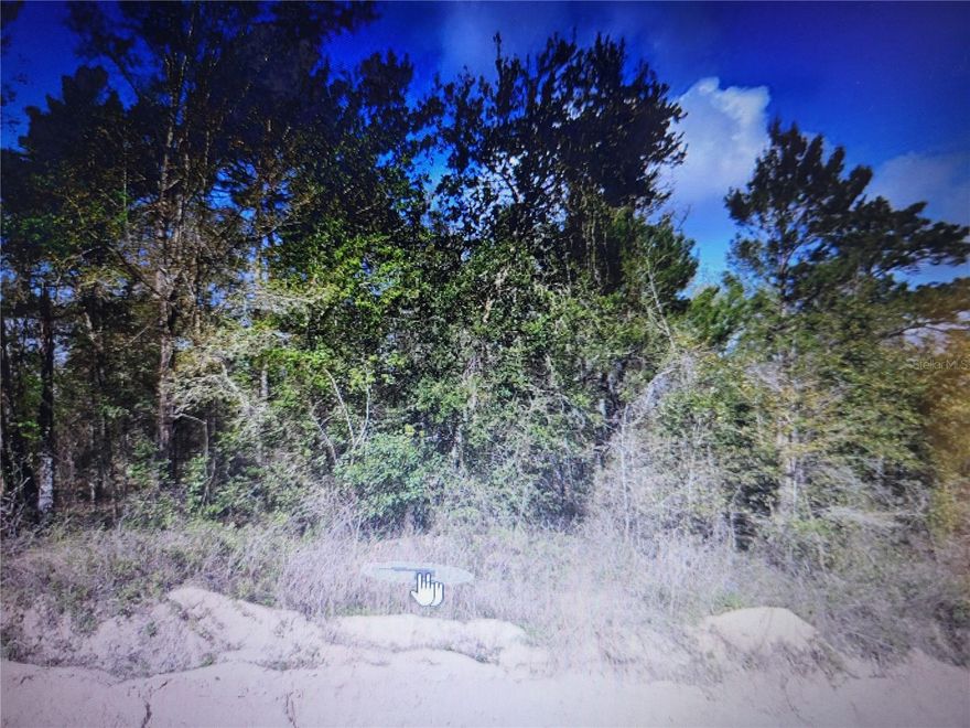 Looking for a peaceful weekend or fulltime getaway? Come take a look at this corner lot located near the water in Trout Lake Shores. Waiting for you to place a home on.