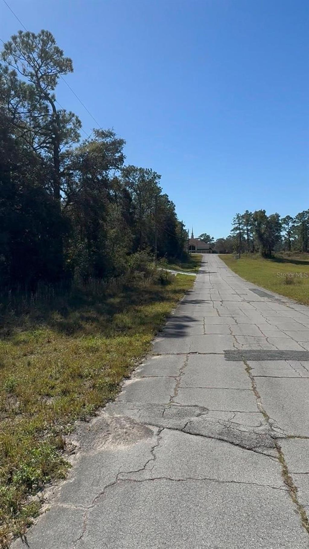 Photo of 2988 W Sun Place, Dunnellon, FL 34433 (MLS # O6365440)