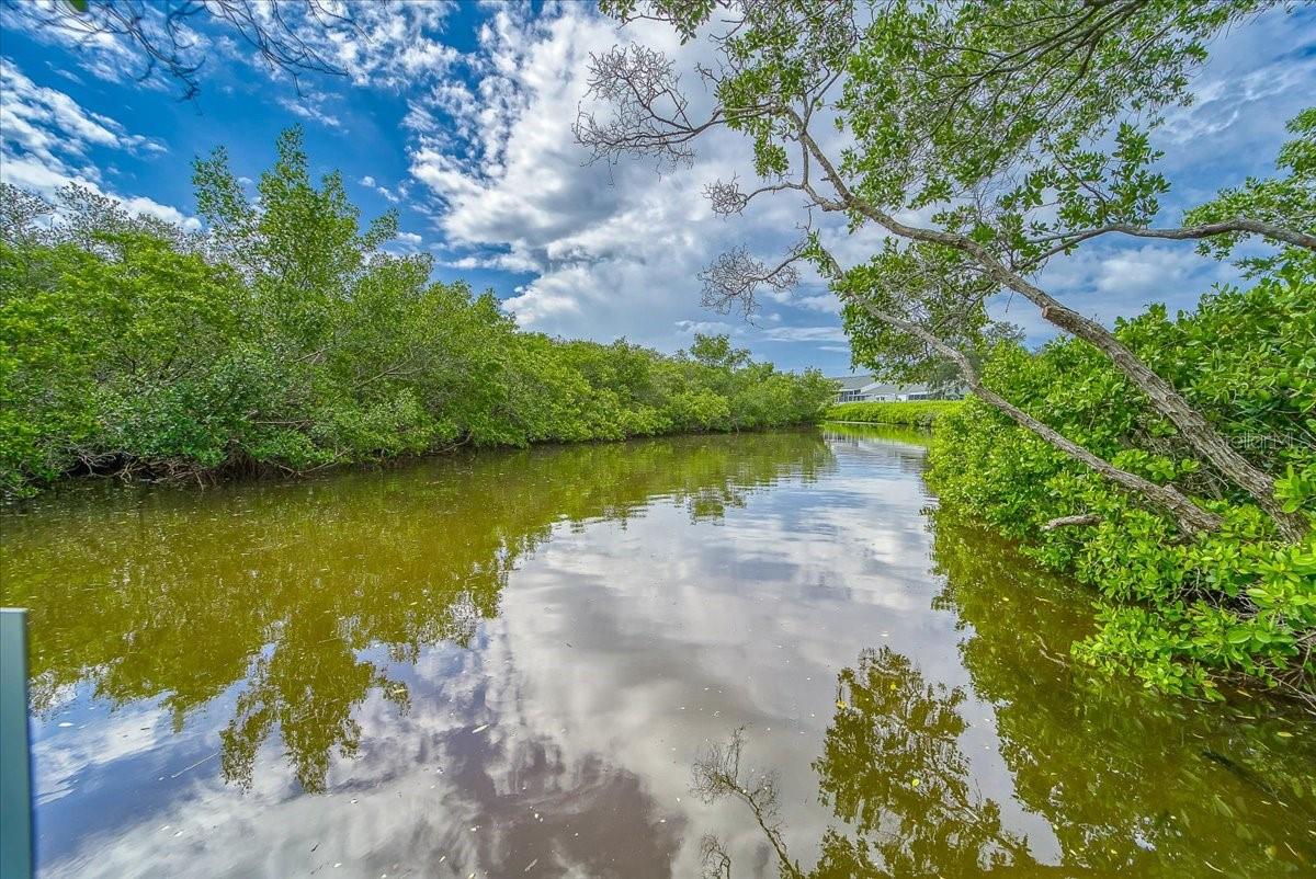 EDGEWATER POINTE AT PERICO BAY CLUB II - Residential