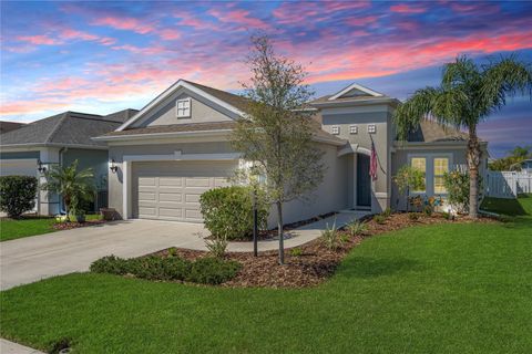 10914 BLUE MAGNOLIA LANE PARRISH FL 34219