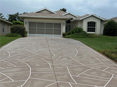 1826 W SHANELLE PATH LECANTO FL 34461