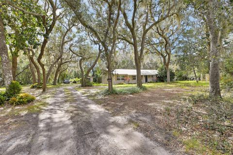 Photo of 4370 Grant Street, Deland, FL 32724 (MLS # V4945658)