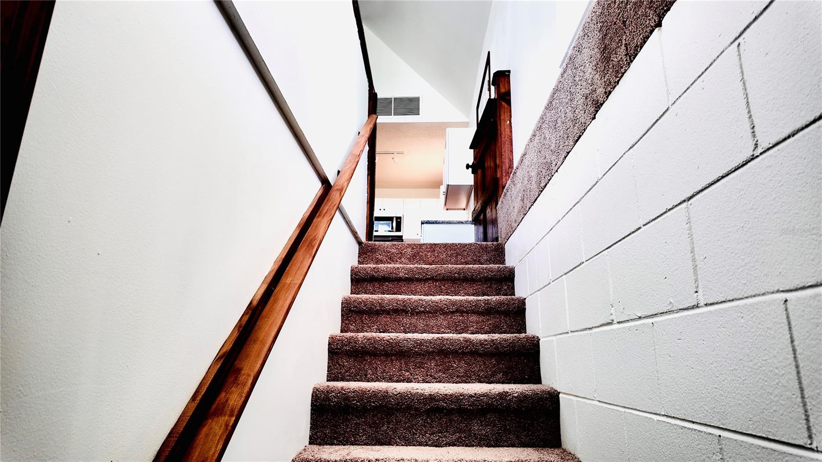 FRUITLAND PARK DREAM LAKE - Residential
