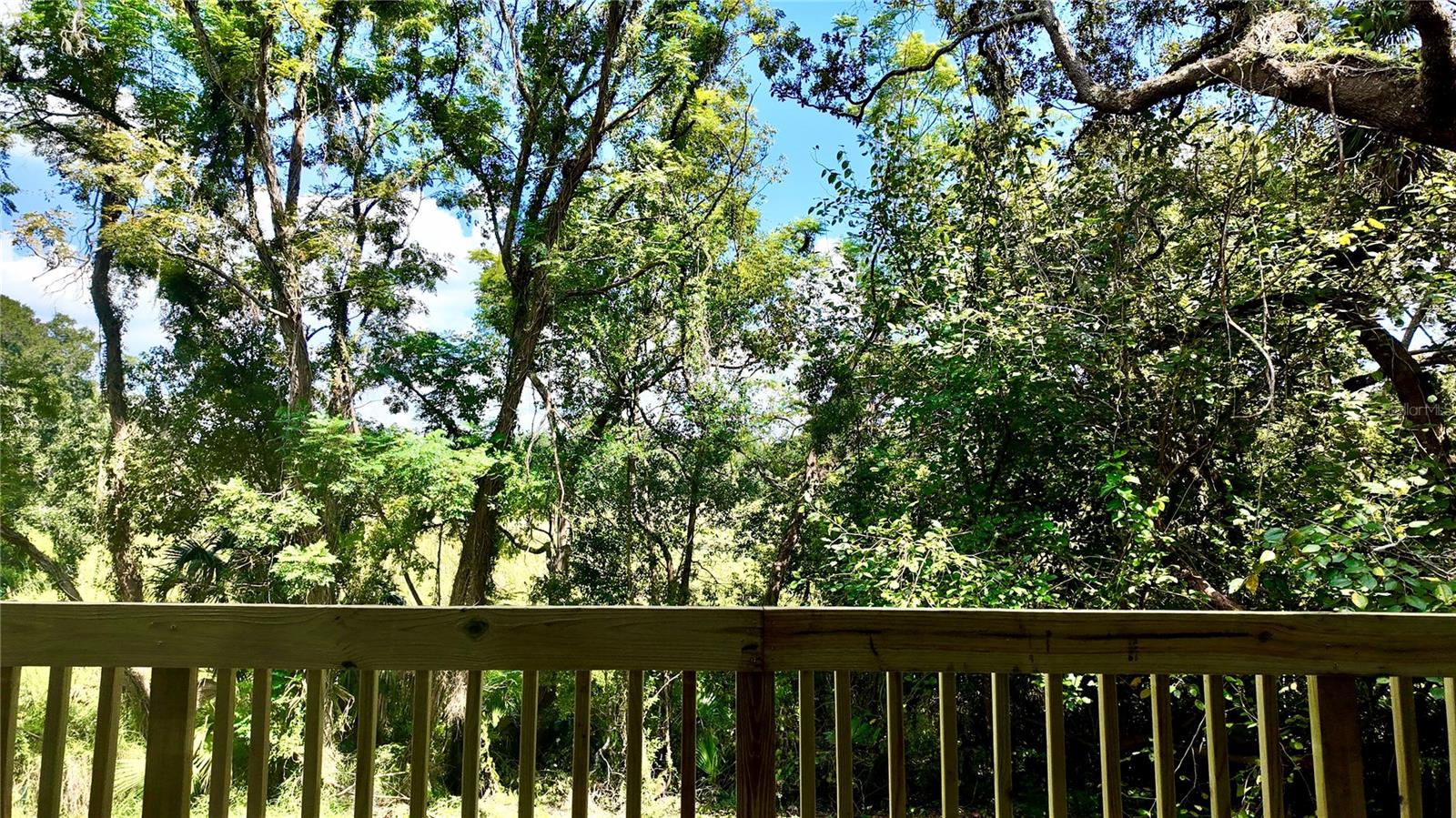 FRUITLAND PARK DREAM LAKE - Residential