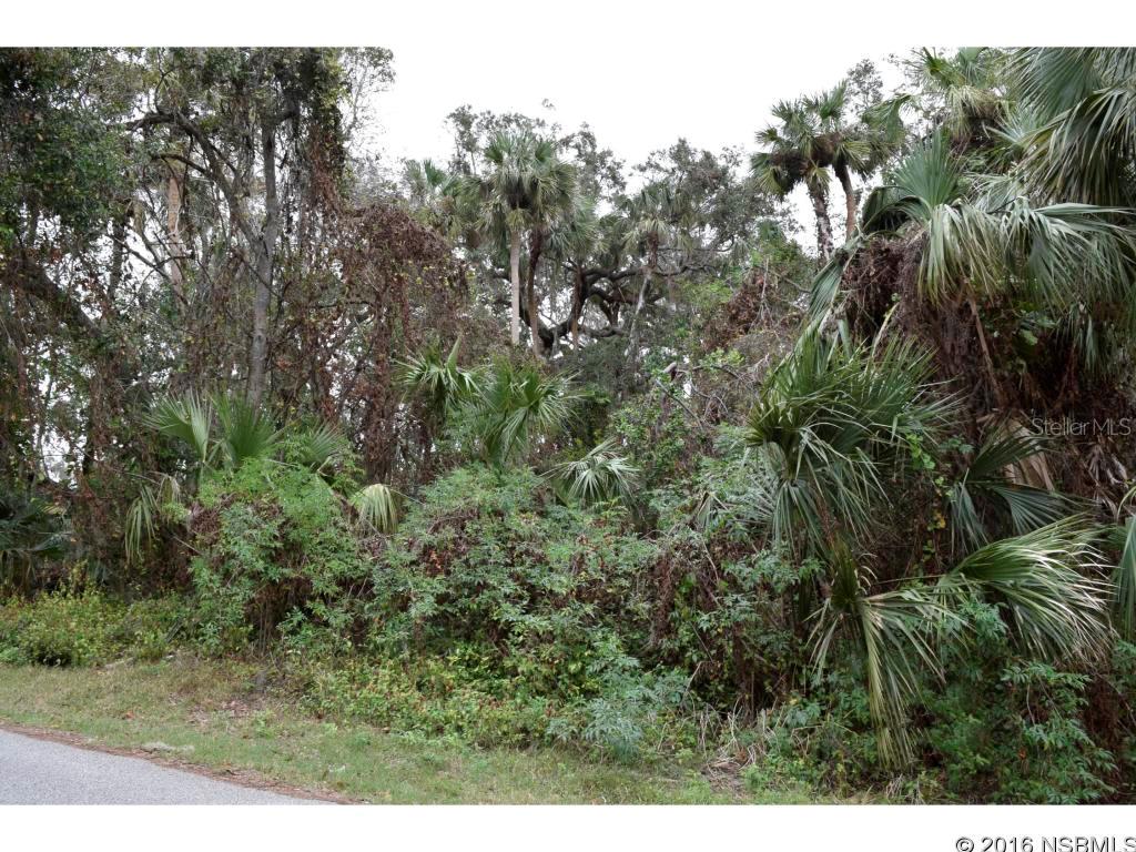 Florida Shores 01 - Land