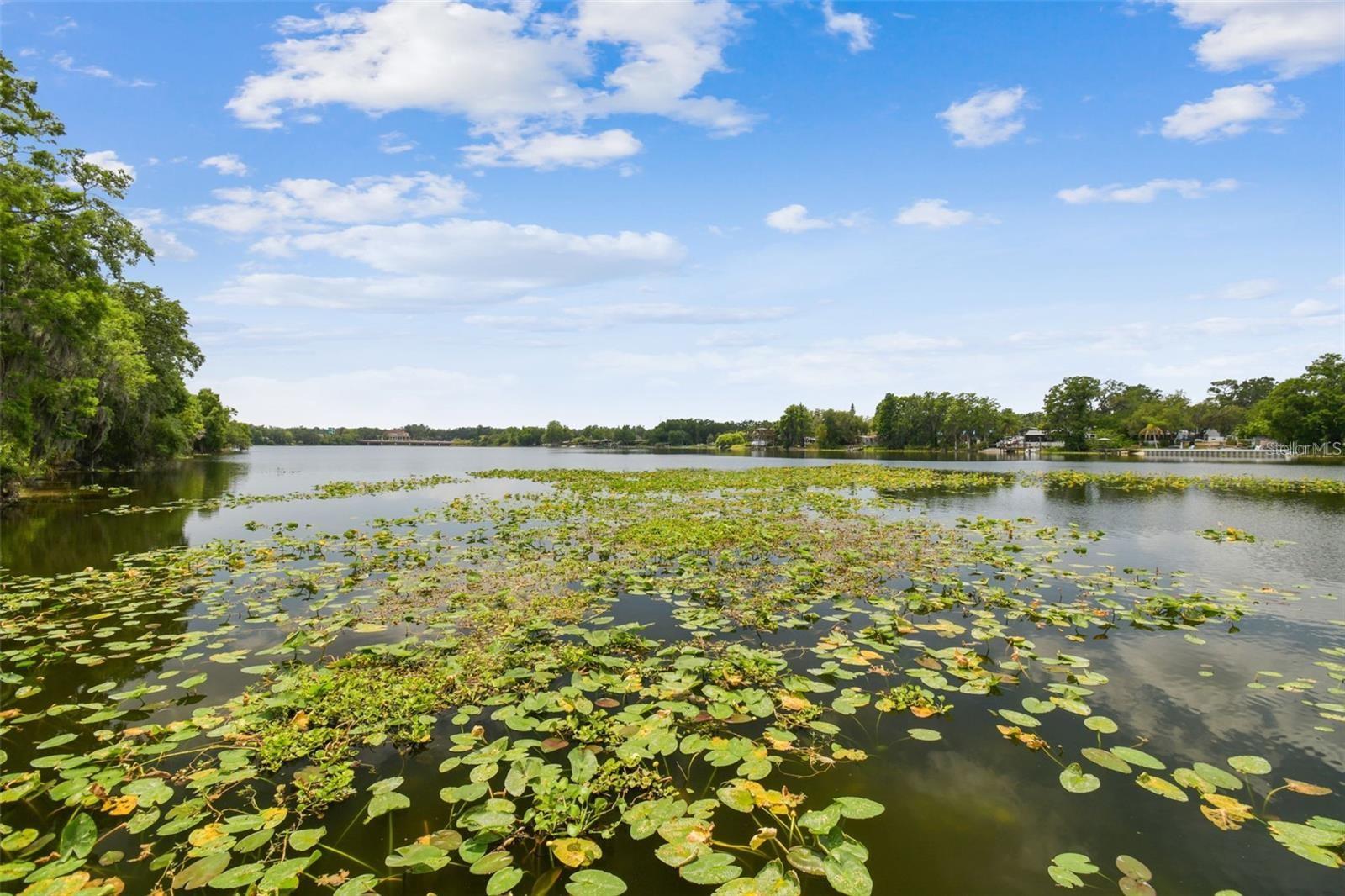 WATERSIDE CONDO II - Residential Lease
