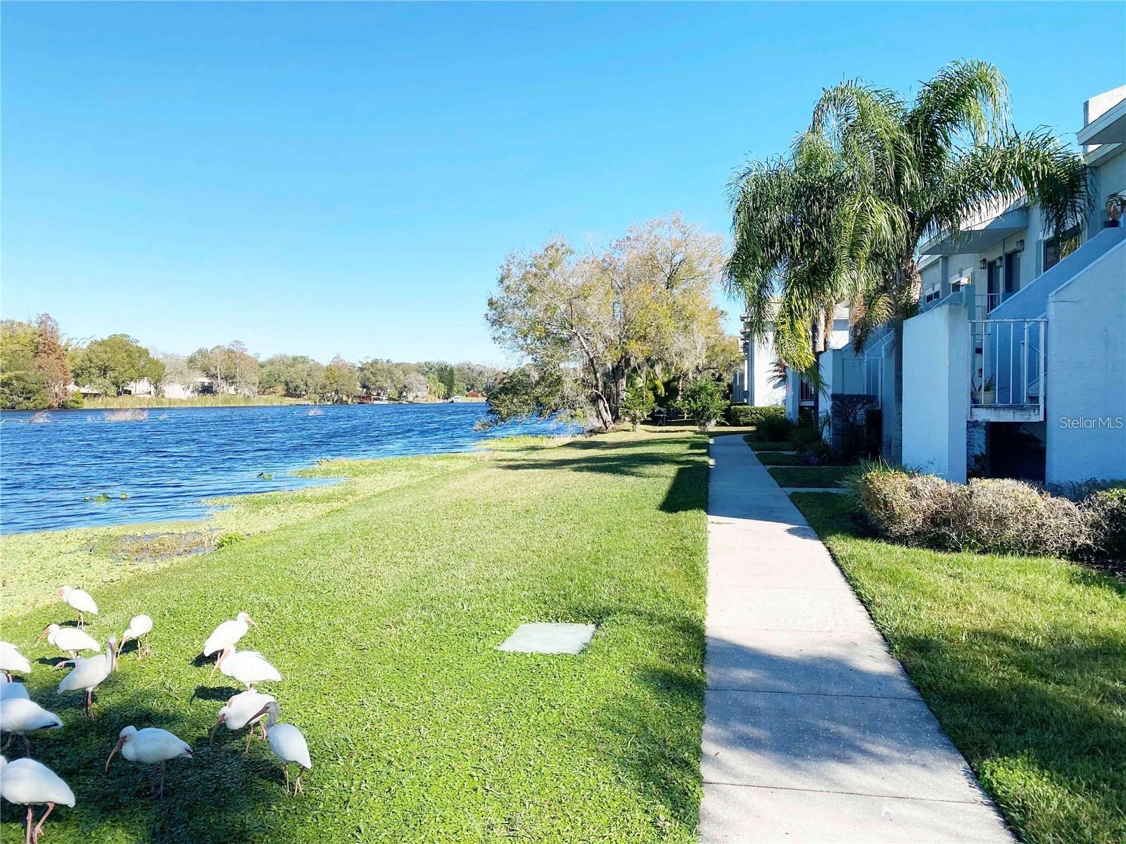 WATERSIDE CONDO II - Residential Lease
