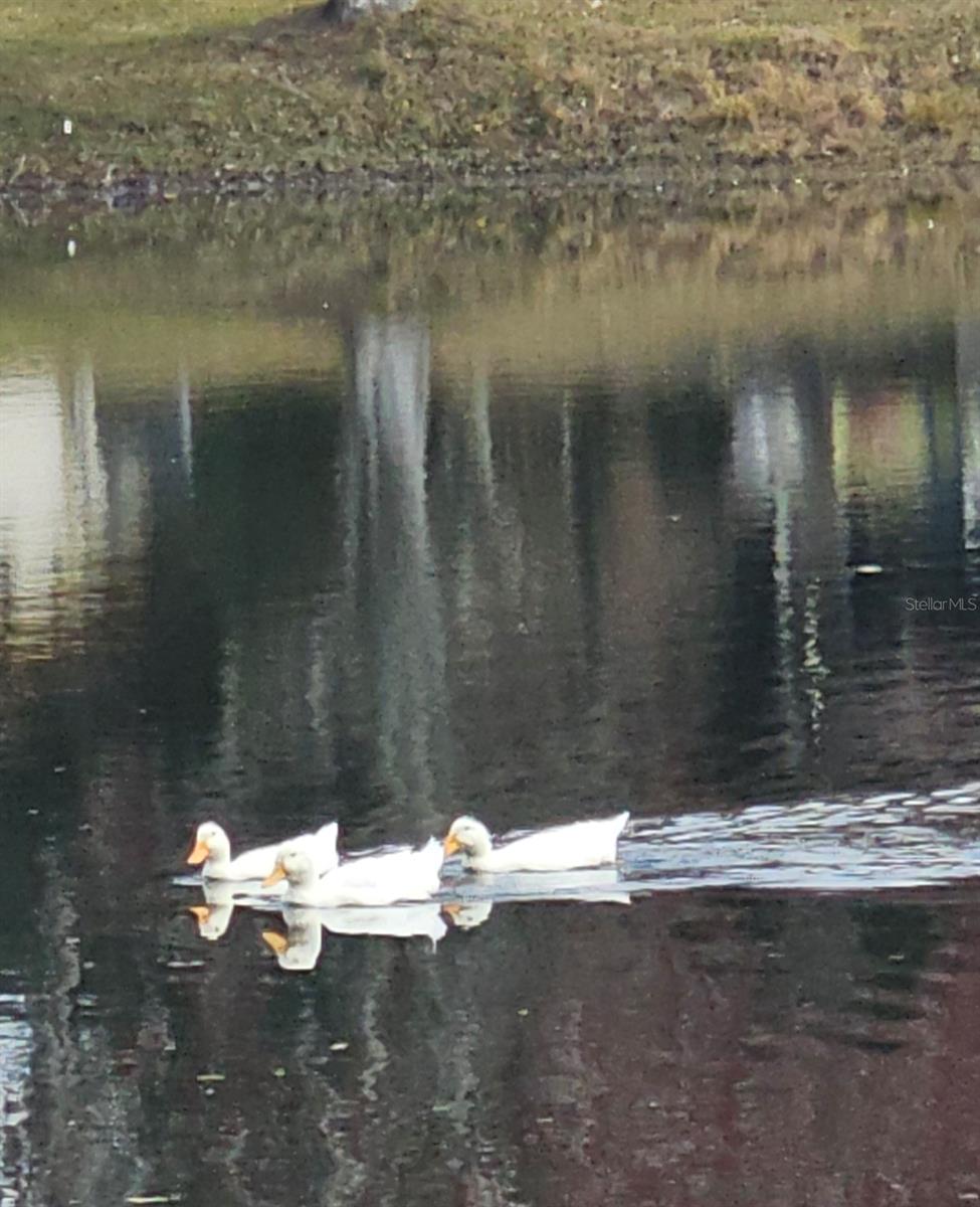 EAST GATE ESTATES - Residential