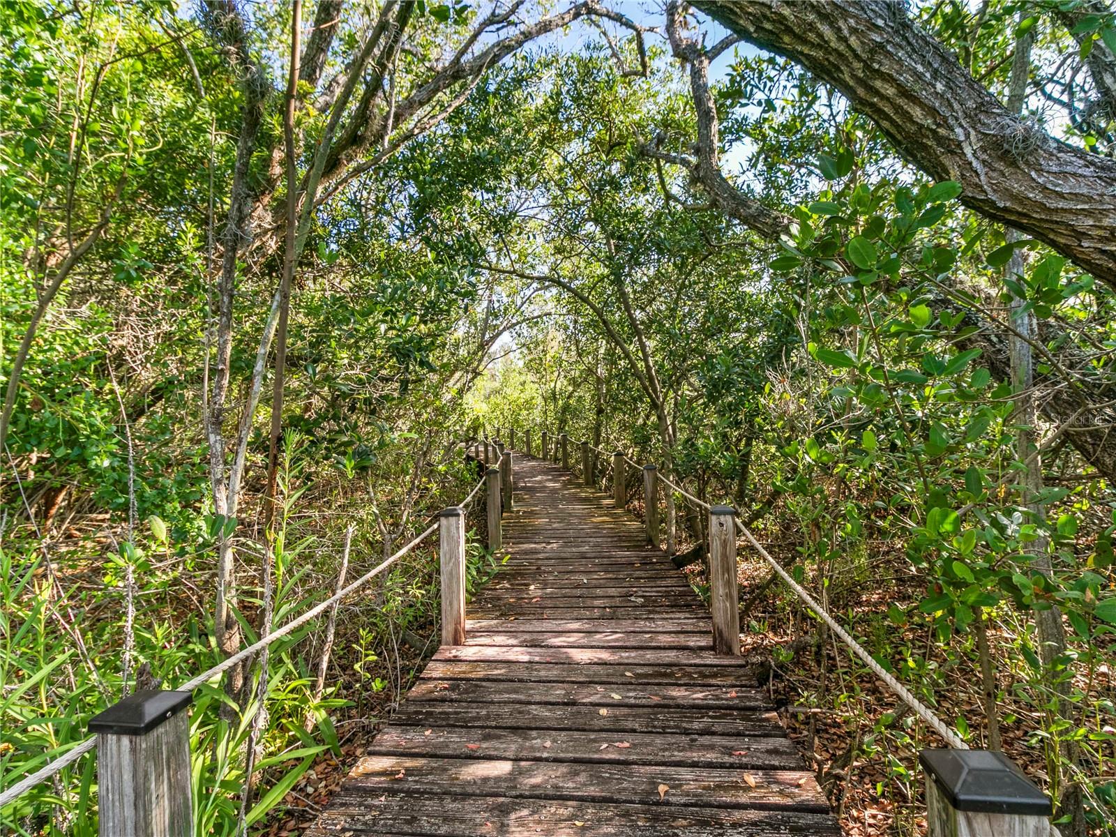 TIDY ISLAND PH III - Residential