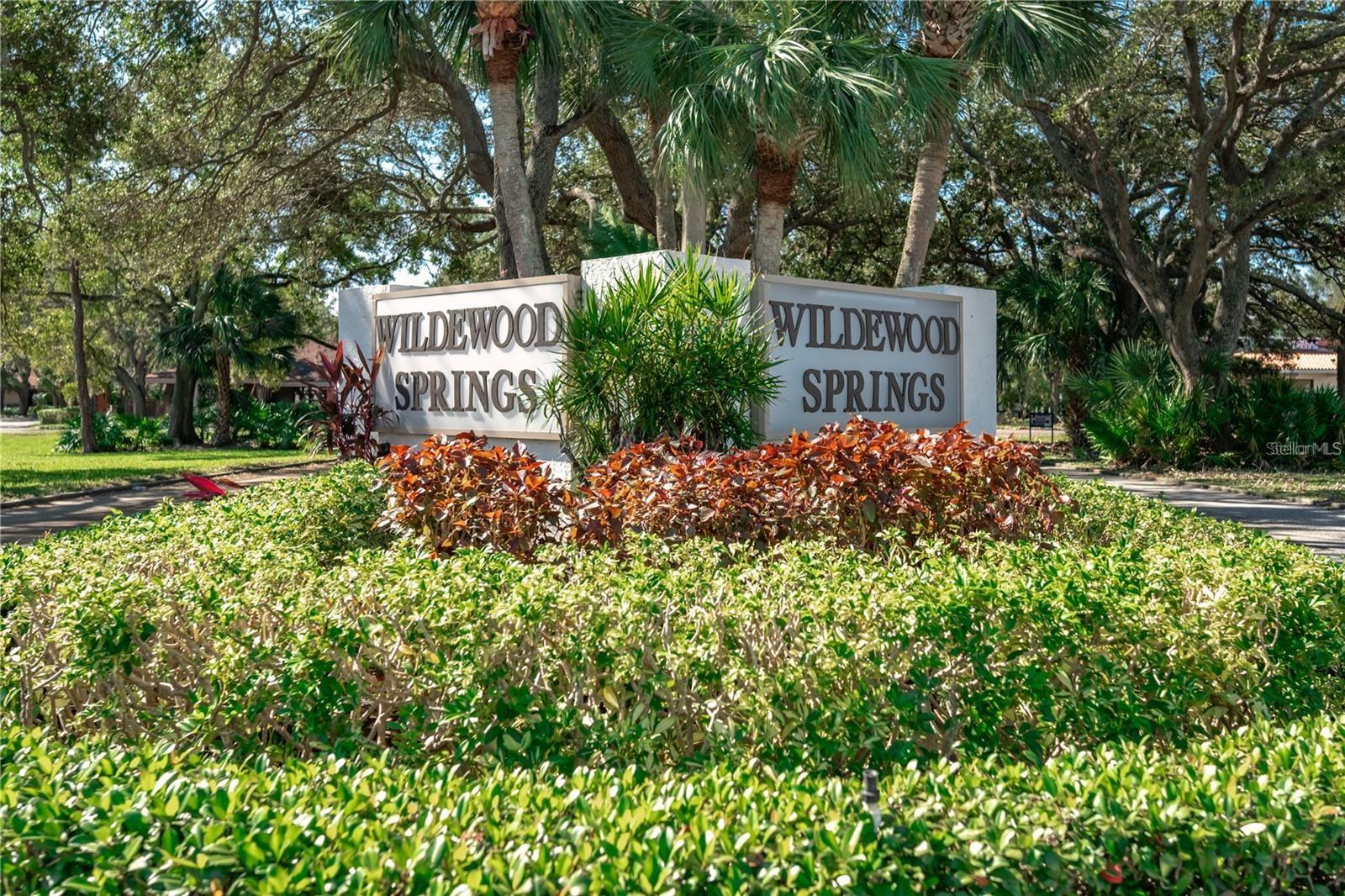 WILDEWOOD SPGS STAGE 6B OF WOODLAWN - Residential