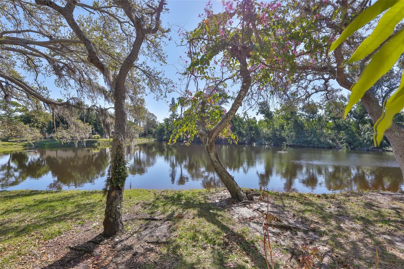 WILDEWOOD SPGS STAGE 6B OF WOODLAWN - Residential