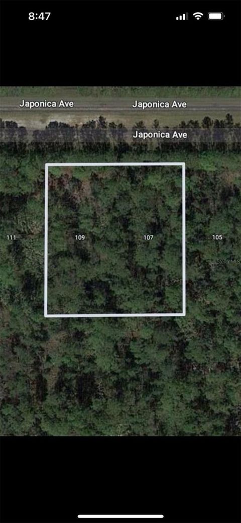 109 JAPONICA AVENUE INDIAN LAKE ESTATES FL 33855