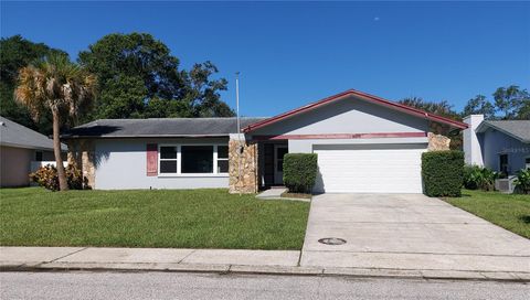 A home in SAFETY HARBOR