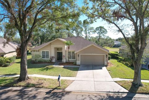 A home in VALRICO