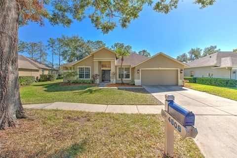 A home in VALRICO