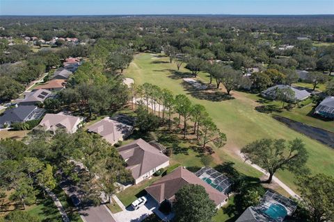 A home in VALRICO