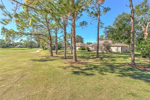 A home in VALRICO