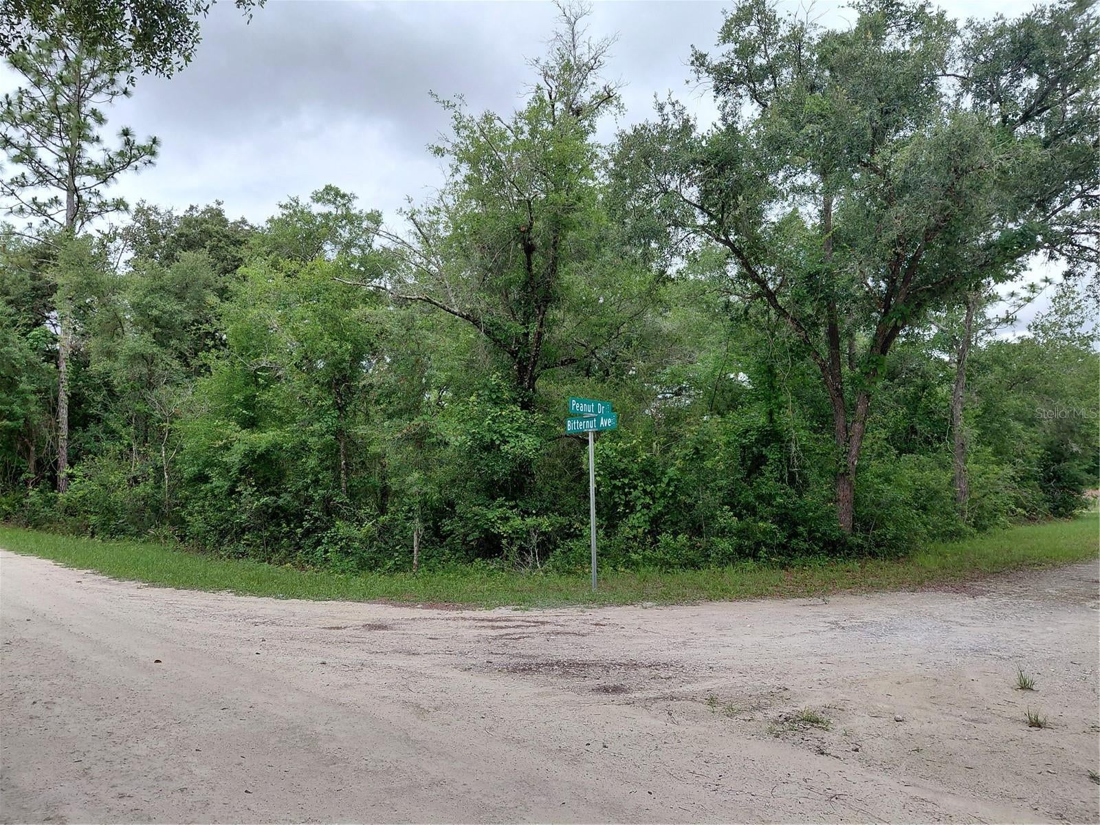 PEANUT DRIVE