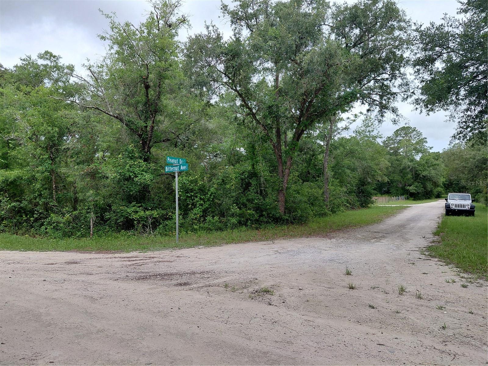 PEANUT DRIVE