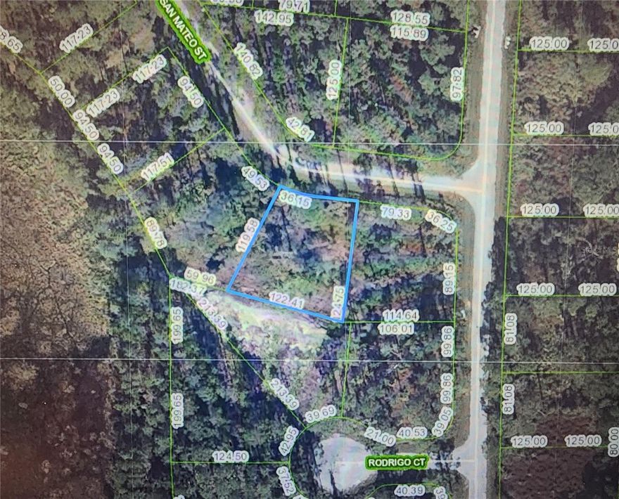 Welcome to a rare opportunity in Sebring! This vacant residential parcel offers 0.29± acre of buildable land in a quiet, established neighborhood — perfect for your new home, vacation retreat, or investment. 8674 San Mateo St is ready for your vision in one of Central Florida’s most affordable and desirable communities.

Sebring is known for its relaxed small-town charm, affordable cost of living, and abundant outdoor amenities. With no state income tax and Florida’s homestead benefits, the area has become increasingly attractive for retirees, second-home buyers, and investors alike.

This location provides convenient access to downtown Sebring’s shops, dining, and services, as well as nearby lakes, parks, and recreational opportunities. Outdoor enthusiasts will appreciate the network of lakes for boating and fishing, while motorsport fans know Sebring as the home of the Sebring International Raceway, host of the world-renowned 12 Hours of Sebring endurance race.

Whether you’re ready to build now or hold for future equity, this property presents a fantastic opportunity in a market where quality lots are limited.