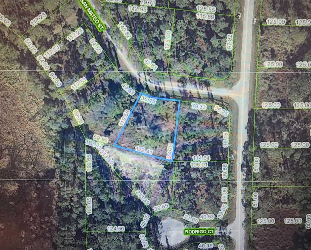 Photo of 8674 San Mateo Street, Sebring, FL 33872 (MLS # C7522545)