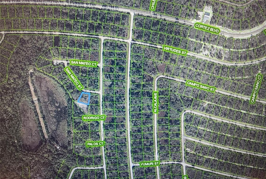 Photo of 8674 San Mateo Street, Sebring, FL 33872 (MLS # C7522545)