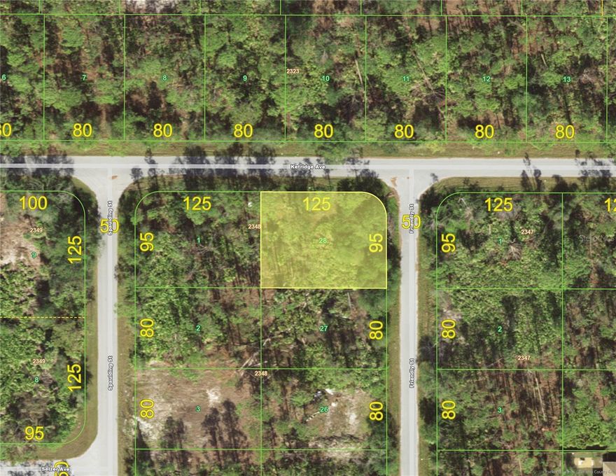 Discover this exceptional homesite located in the fastest-growing city in Florida. This parcel provides a strong foundation for future residential construction, offering versatility for builders, investors, and homebuyers alike. With continued suburban expansion and rising demand in the area, this property represents a prime opportunity to invest in long-term growth and development.