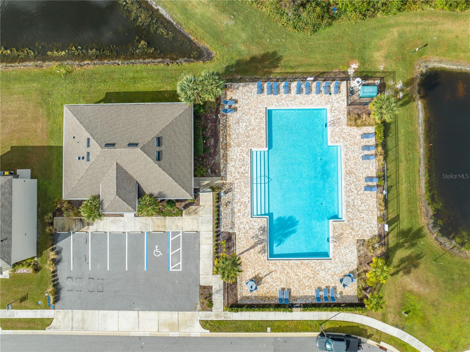 1242 IGUANA LOOP