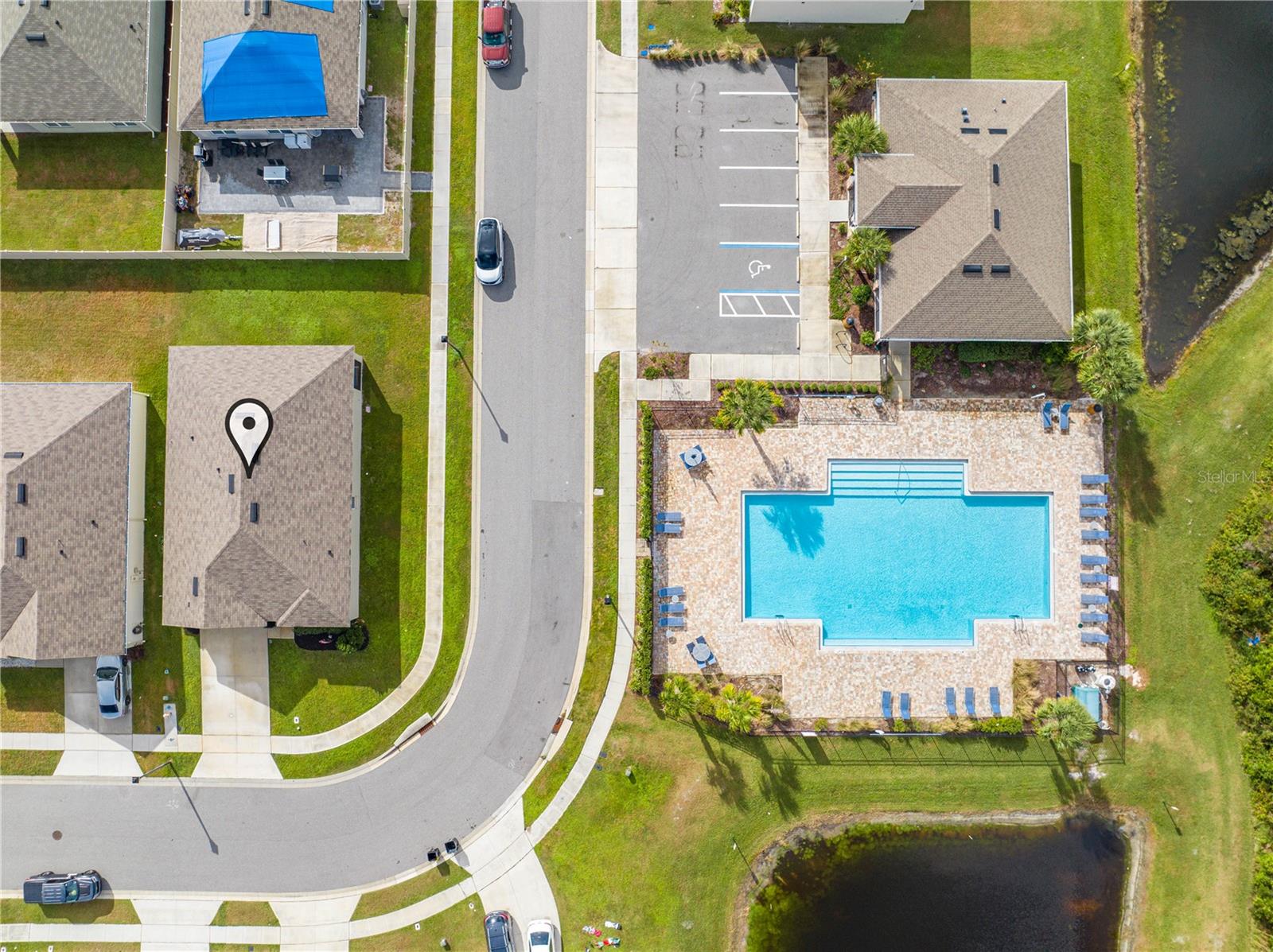 1242 IGUANA LOOP