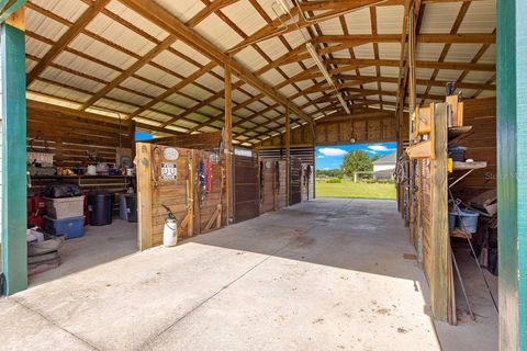 Tiny photo for 12345 NE 14th Avenue, Anthony, FL 32617 (MLS # G5099234)