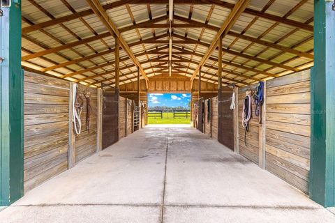 Tiny photo for 12345 NE 14th Avenue, Anthony, FL 32617 (MLS # G5099234)